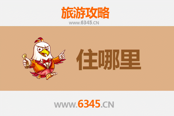 温州文成住宿全攻略：山水间的诗意栖居